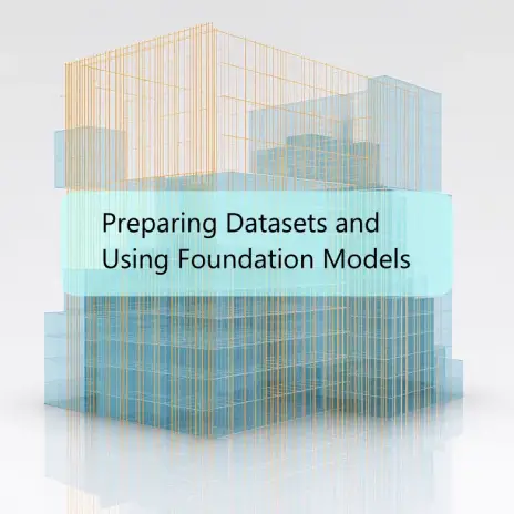 Preparing Datasets and Using Foundation Models